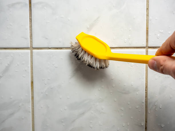 Best Mold Testing and Inspection Services in Lakewood, NY